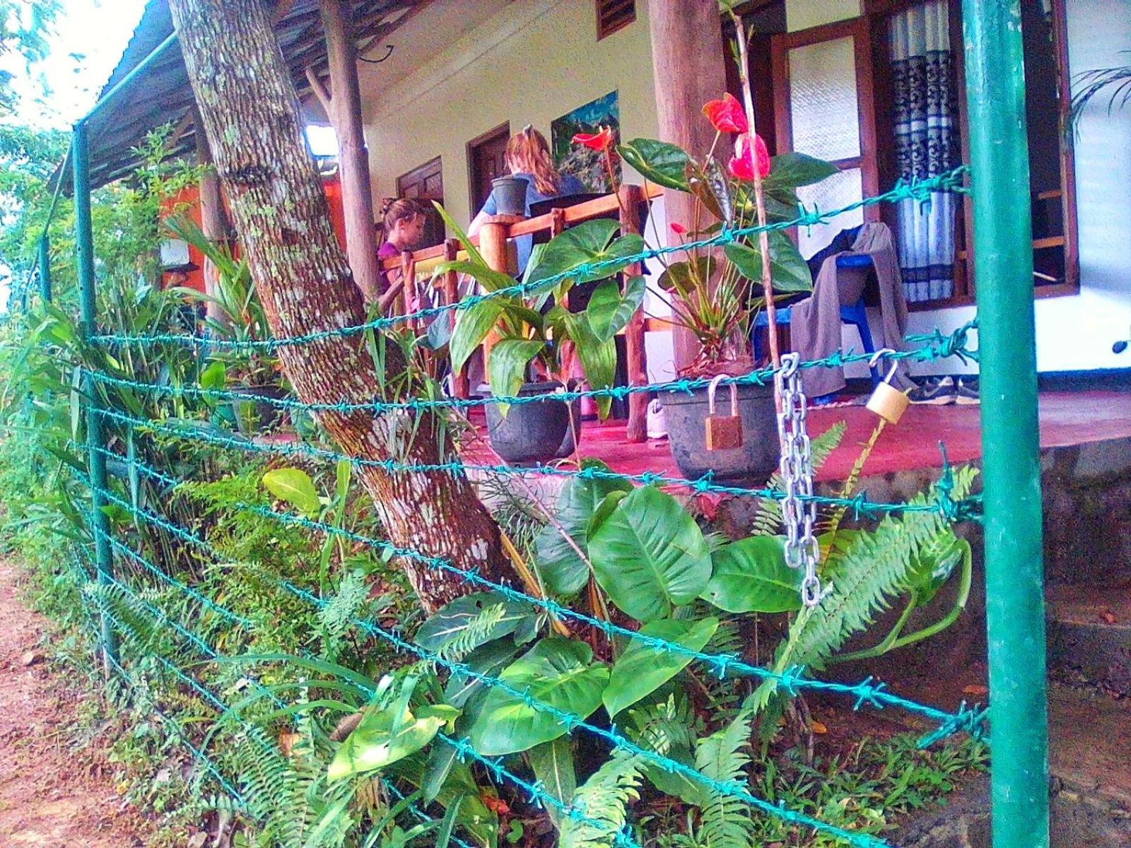 New Rose Villa Bandarawela Элла Экстерьер фото