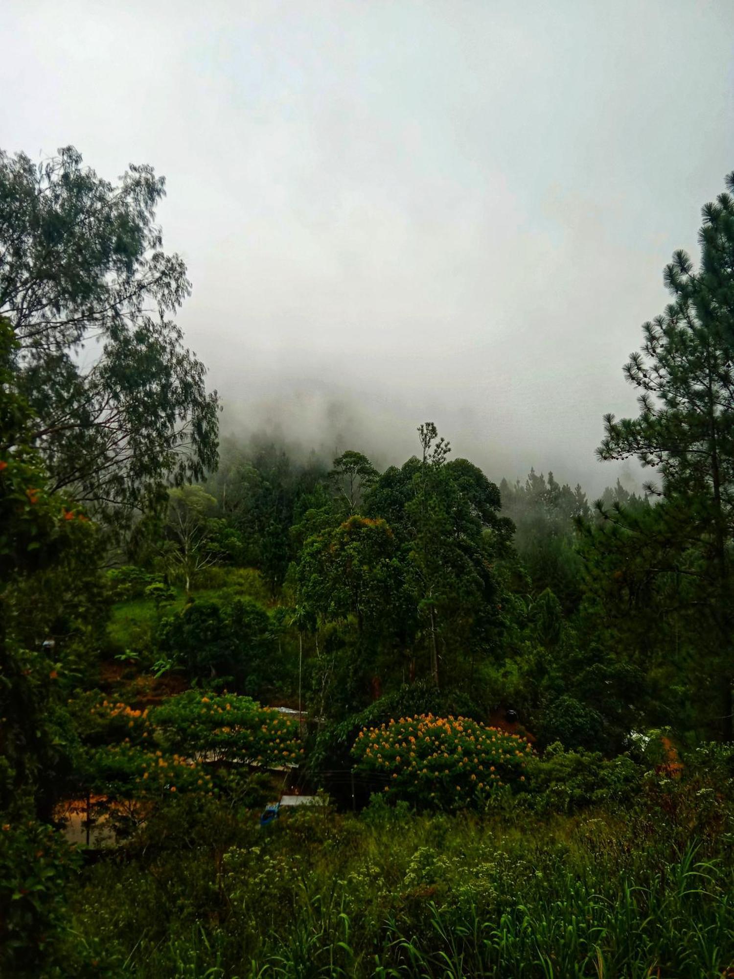 New Rose Villa Bandarawela Элла Экстерьер фото