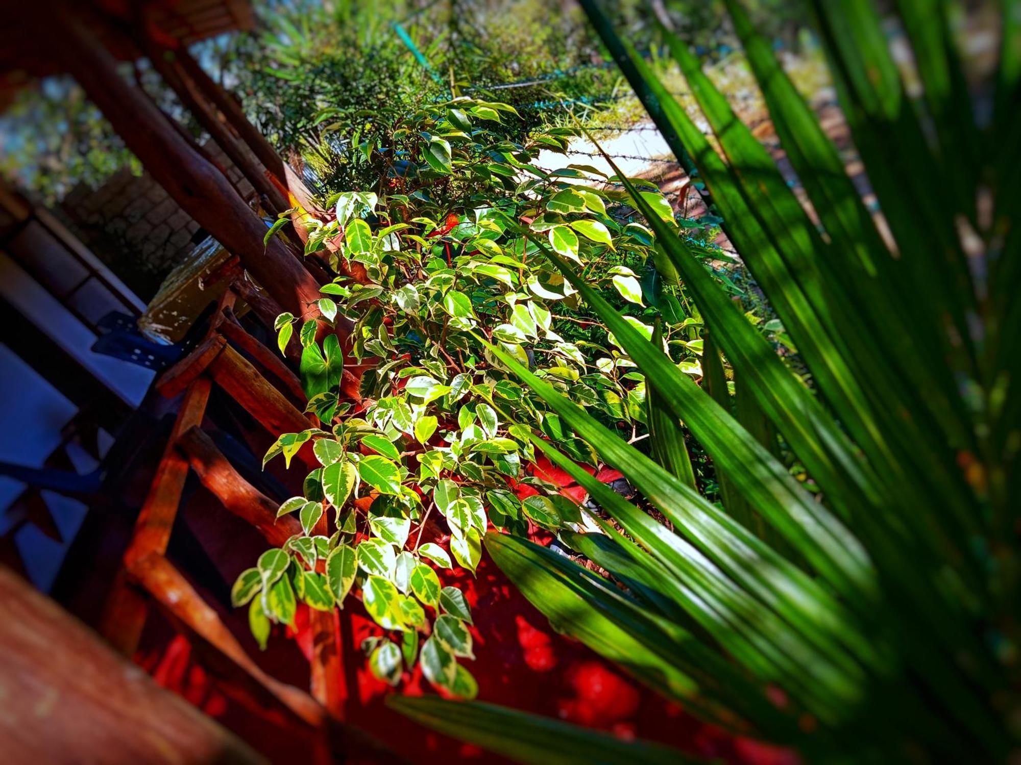 New Rose Villa Bandarawela Элла Экстерьер фото