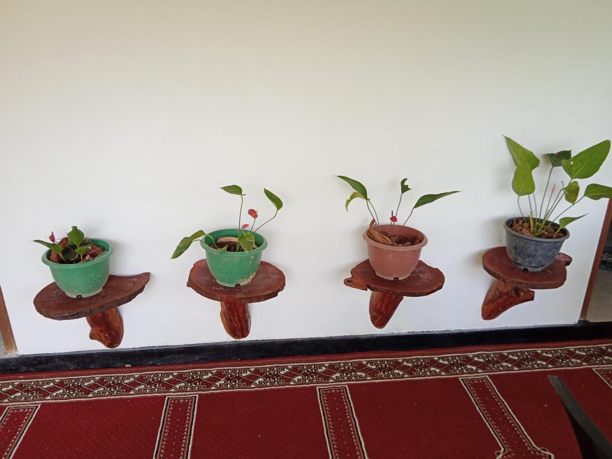 New Rose Villa Bandarawela Элла Экстерьер фото