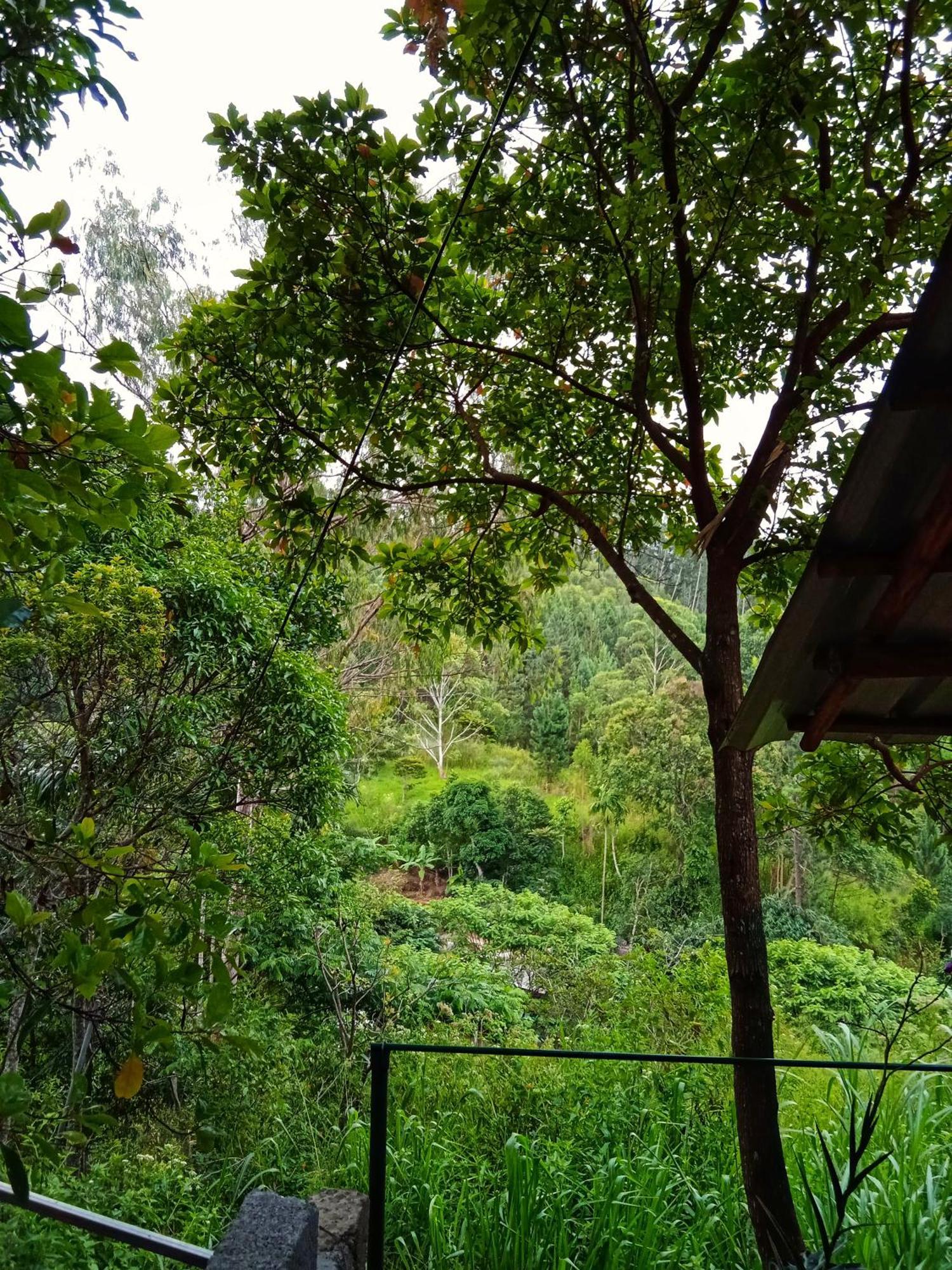 New Rose Villa Bandarawela Элла Экстерьер фото