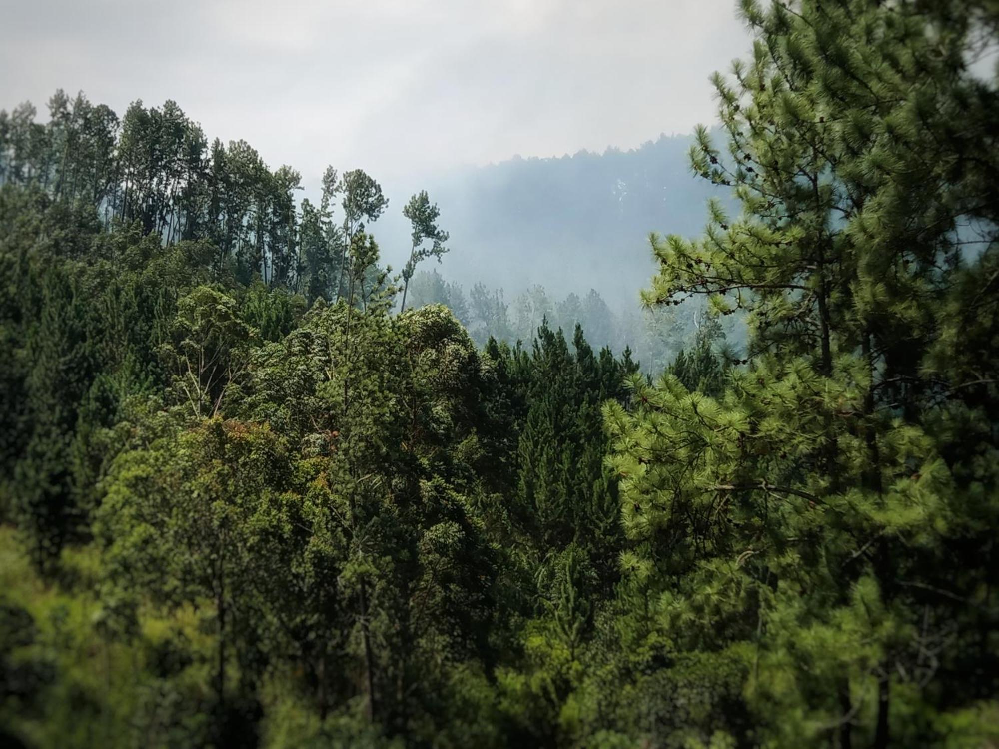 New Rose Villa Bandarawela Элла Экстерьер фото